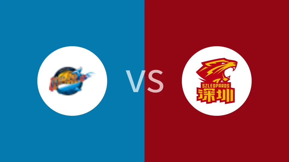 四川丰谷酒业vs深圳马可波罗比分预测分析 2025/03/10