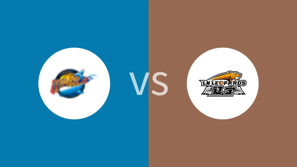 四川丰谷酒业vs辽宁本钢比分预测分析 2024/12/13