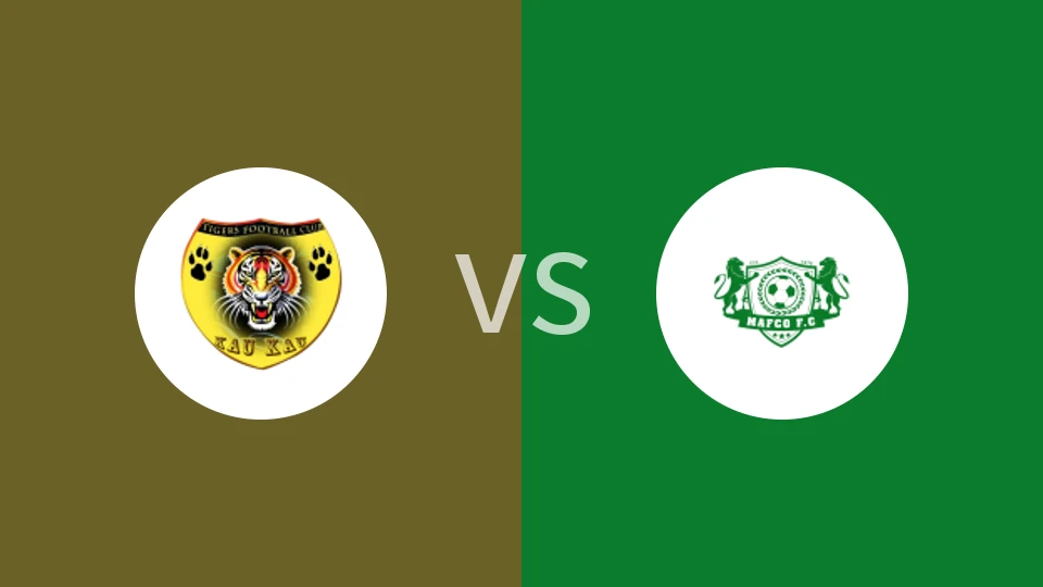 猛虎vs元素比分预测分析 2025/11/02