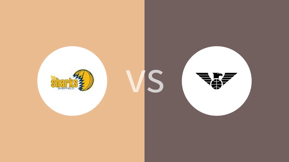 谢菲尔德vs纽卡斯尔比分预测分析 2025/12/06