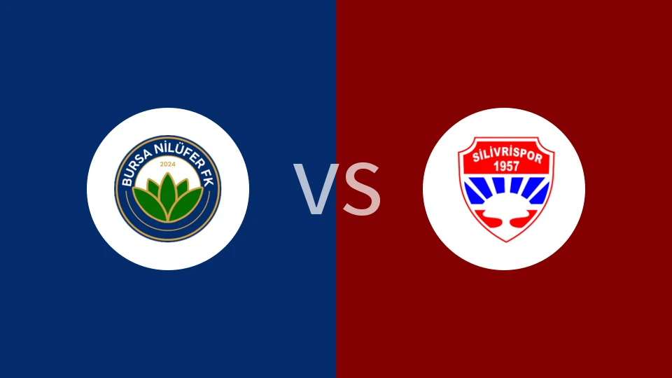 尼路费vs西利夫里士邦比分预测分析 2025/12/17