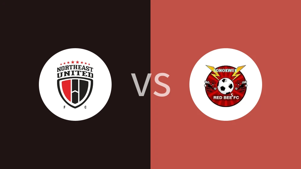 东北联合青年vs红蜂