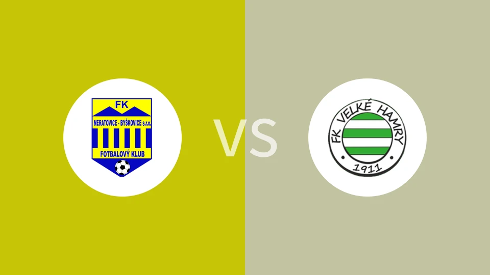 内拉托维斯vs海美瑞比分预测分析 2025/11/15