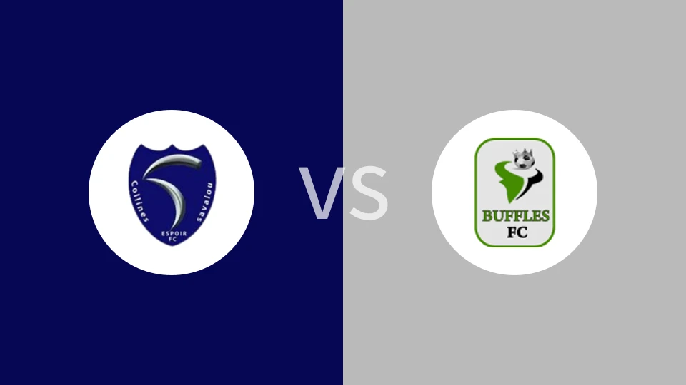 希望萨瓦鲁vs博尔古水牛比分预测分析 2025/12/26