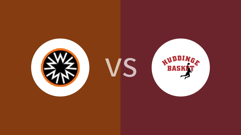 玛巴斯vs哈丁格比分预测分析 2025/11/29