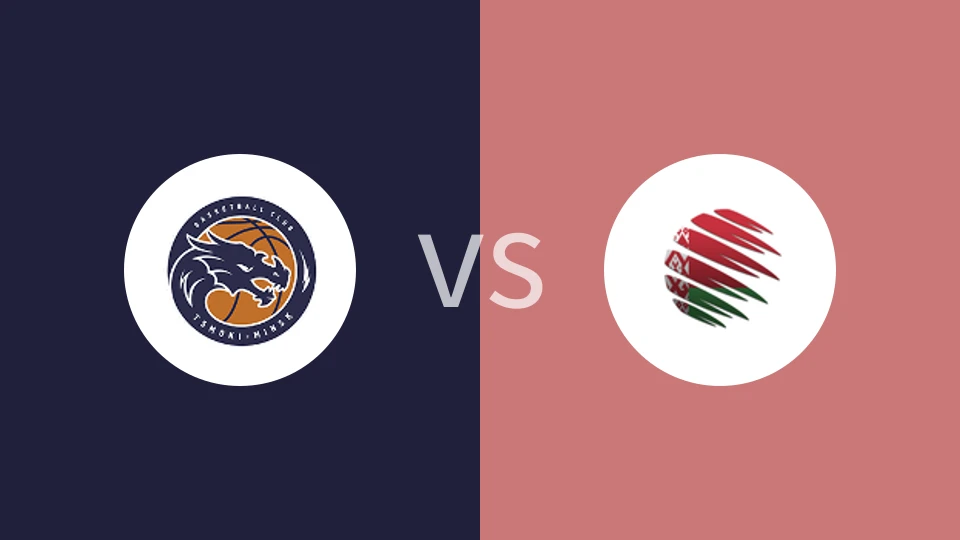 苏杜明斯克vs戈梅尔比分预测分析 2025/01/29