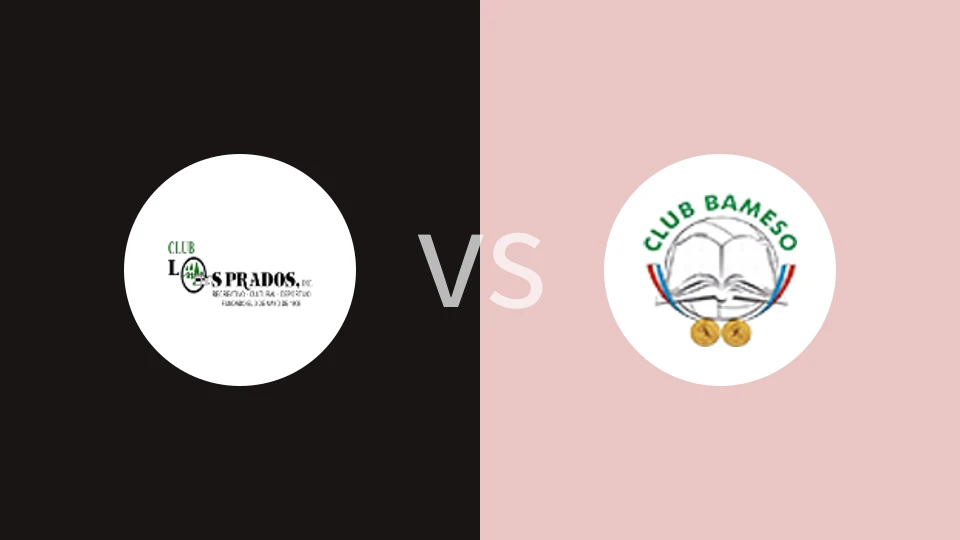 【多米甲】拉普拉多斯vs巴米索