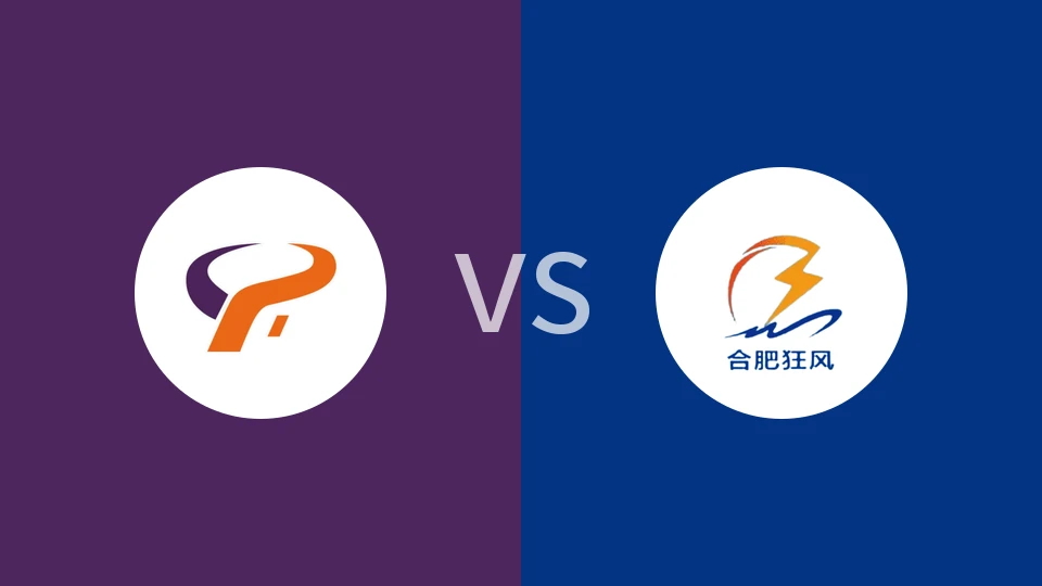 杭州经纬vs合肥狂风回放录像 2025/12/23