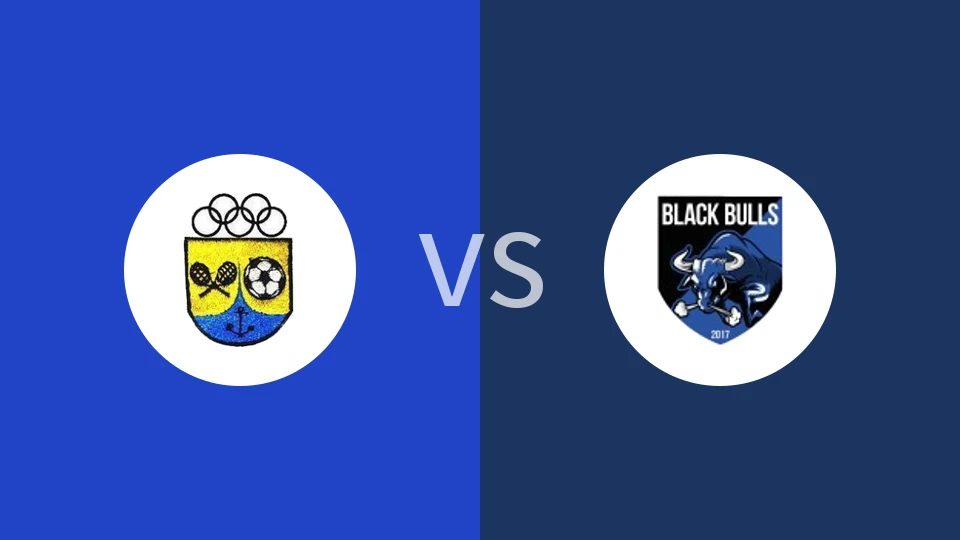 【莫桑冠】纳卡拉特遣队vs黑牛