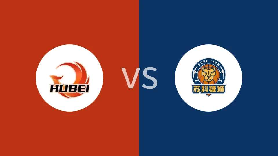 湖北文旅vs盐南苏科雄狮回放录像 2025/12/31