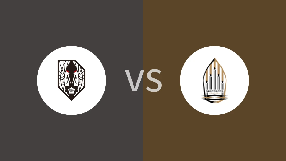 岩手盛冈仙鹤vs浦安矛船比分预测分析 2025/11/01