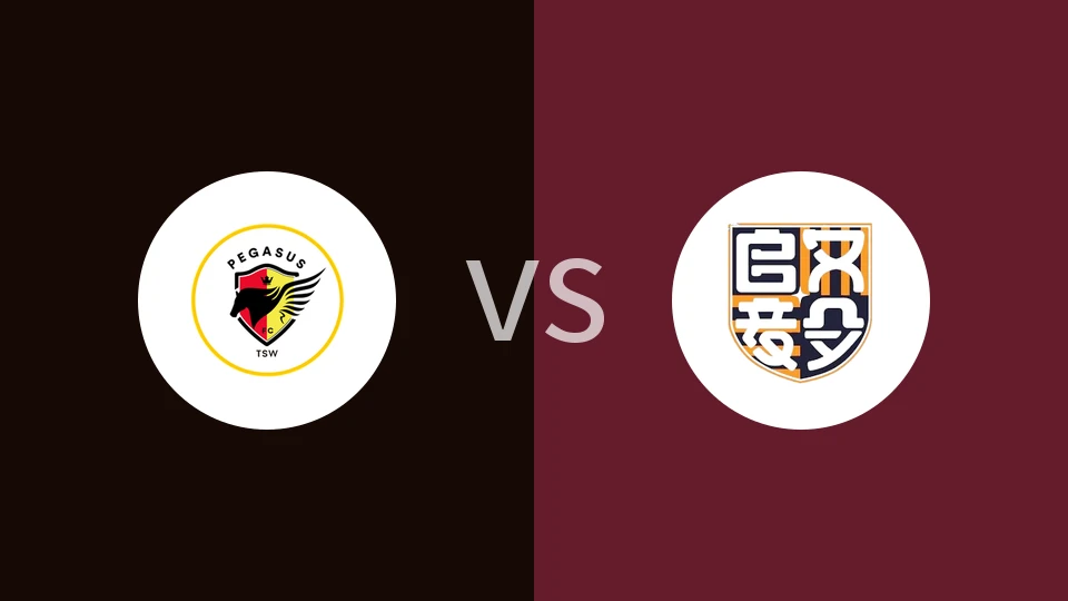 【香港丙】香港飞马vs启毅