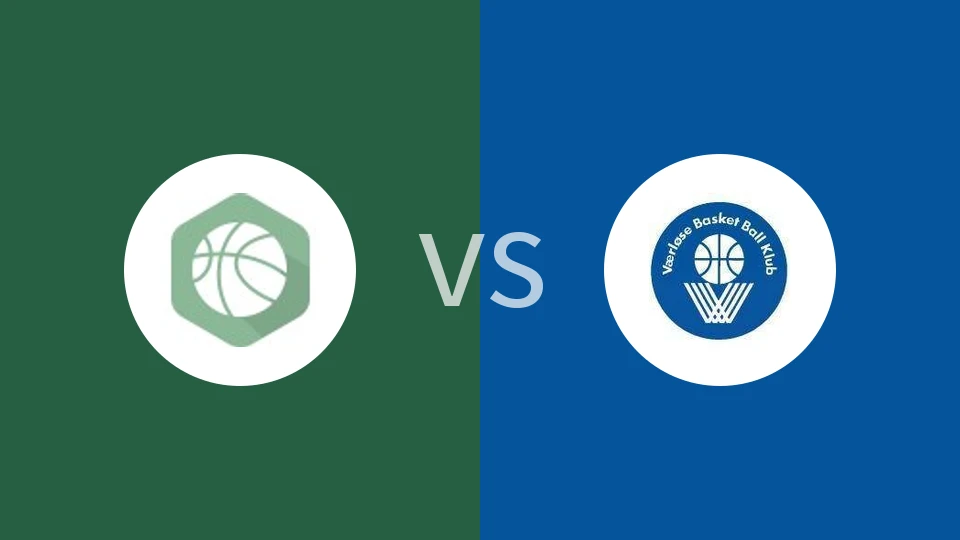 索尔塞登斯vs华路斯比分预测分析 2025/11/16