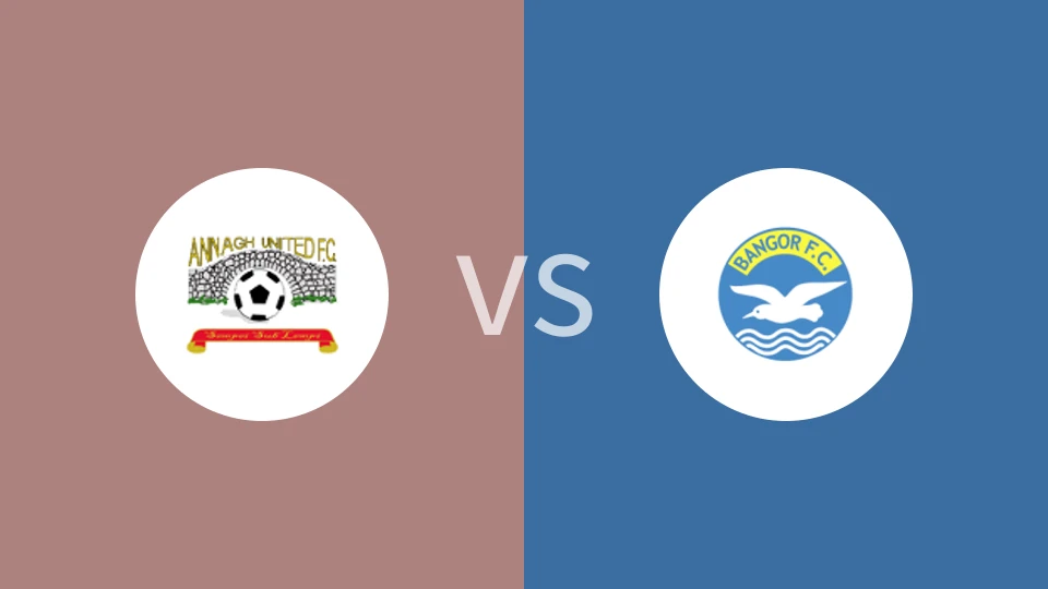 安纳vsFC宾高比分预测分析 2024/12/31