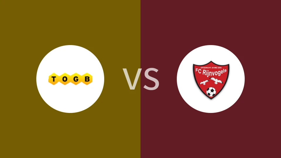 【荷丁】伯克尔vs里吉诺瓦格斯