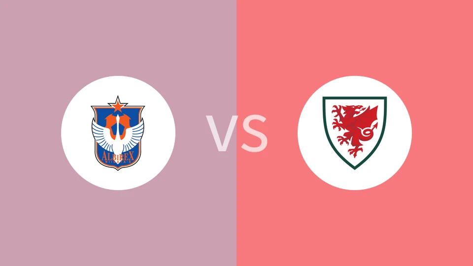 新潟特选队U17vs威尔士U18