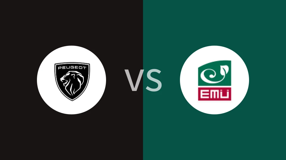 【爱沙甲】罗克塔尔图码头vs伊斯蒂玛利库尔