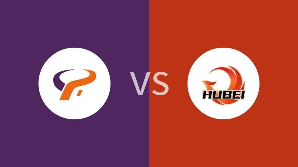 杭州经纬vs湖北文旅回放录像 2026/01/08