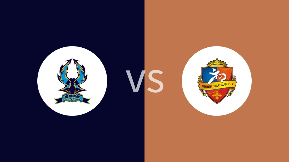 廊坊荣耀之城vs湖南湘涛回放录像 2024/10/20