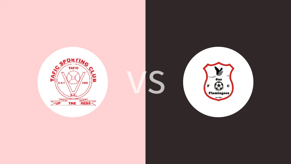 塔菲FCvs苏阿火烈鸟比分预测分析 2025/03/01