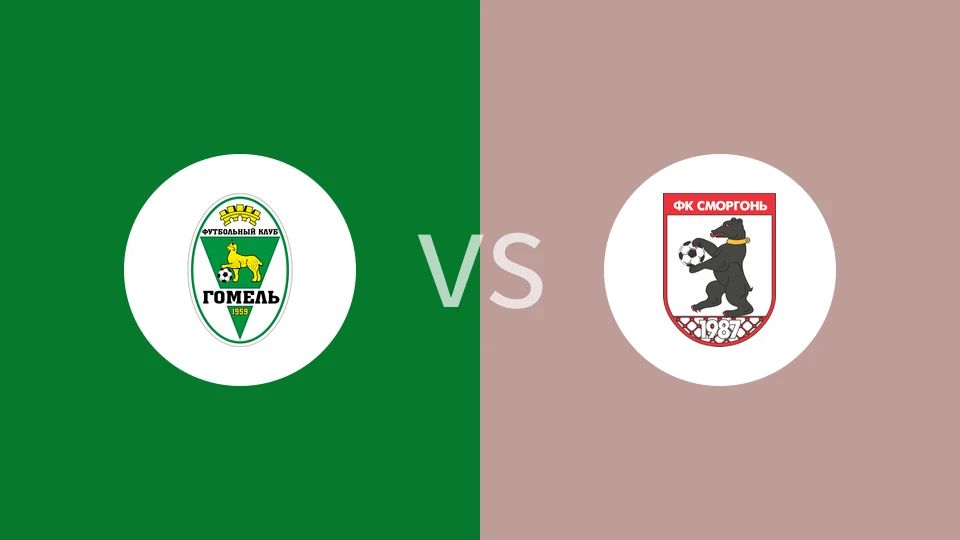 戈梅利vs斯莫根比分预测分析 2025/11/29