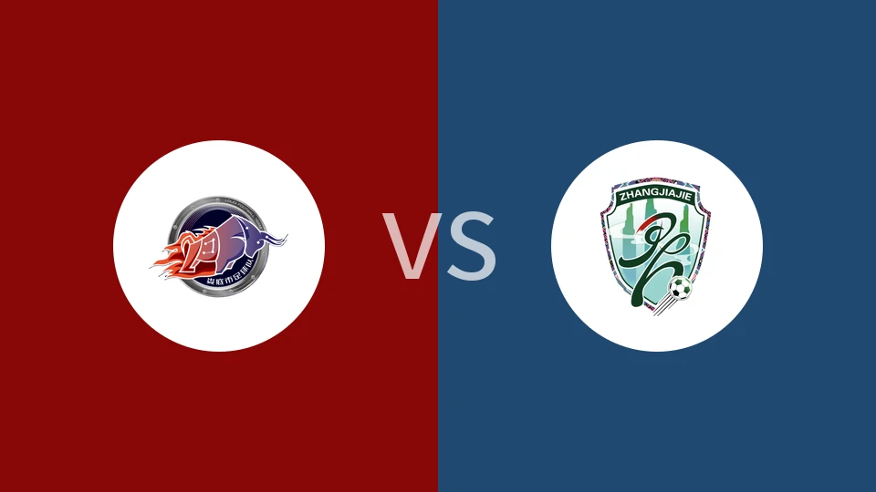 娄底队vs张家界队回放录像 2025/11/08