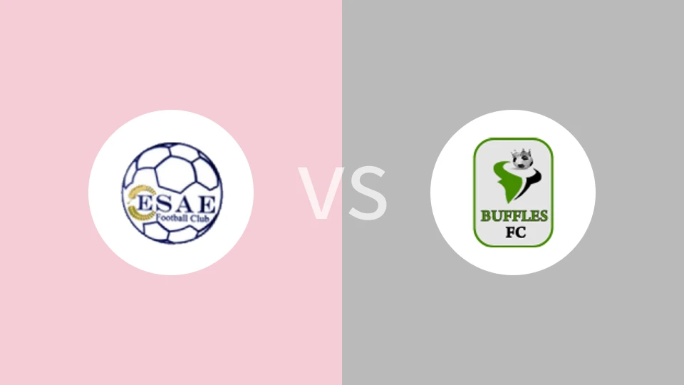 罗托FCvs博尔古水牛比分预测分析 2025/05/24
