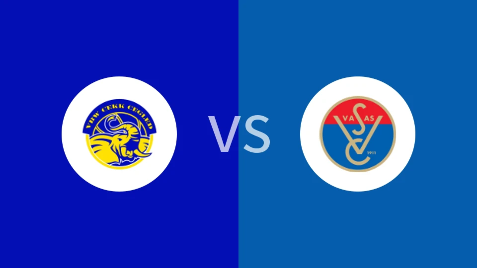 采格莱迪女篮vs华沙斯女篮比分预测分析 2025/12/07