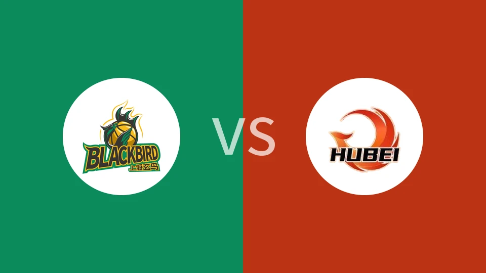 上海玄鸟vs湖北文旅回放录像 2025/12/26