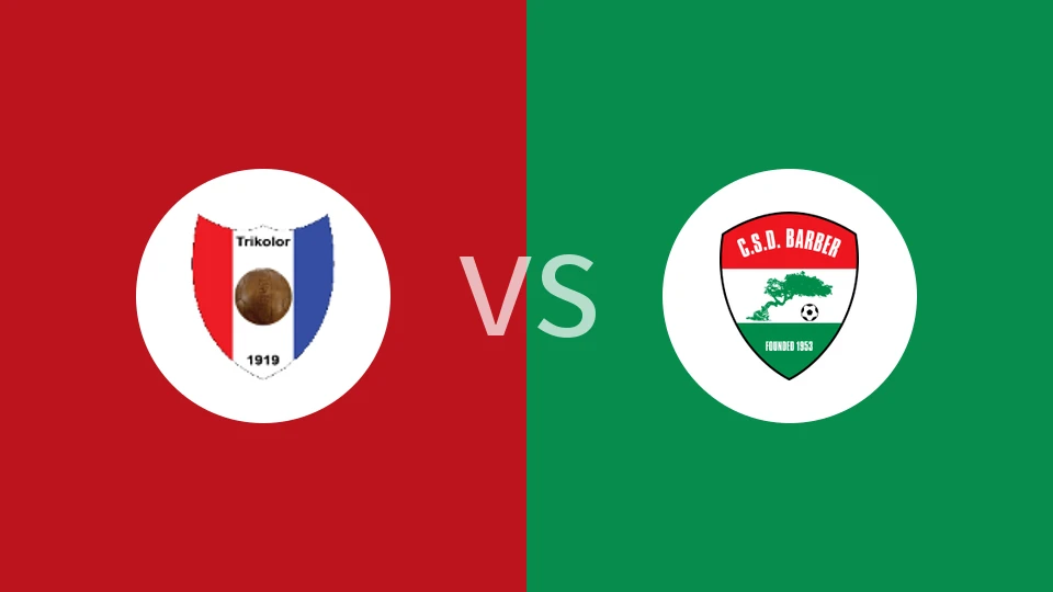 容霍兰德vs社会理比分预测分析 2025/11/30