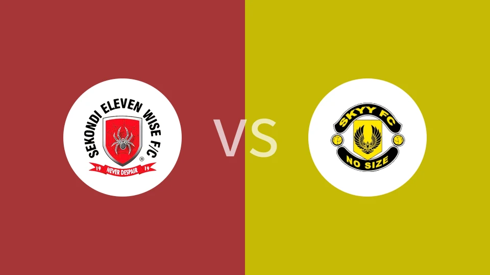 【加纳甲】维斯十一人vs斯凯FC