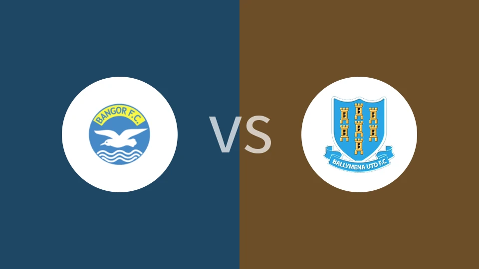 FC宾高vs巴利米纳联队比分预测分析 2025/12/31