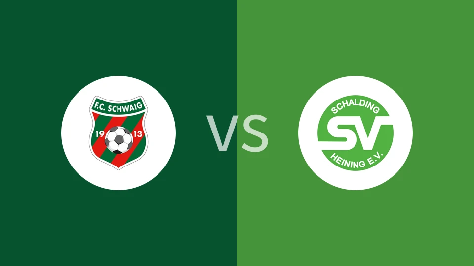 施瓦伊格vs斯切丁喜宁比分预测分析 2025/09/14