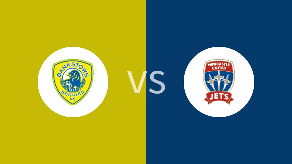 坎特贝利班克斯敦FCvs新城堡联青年队