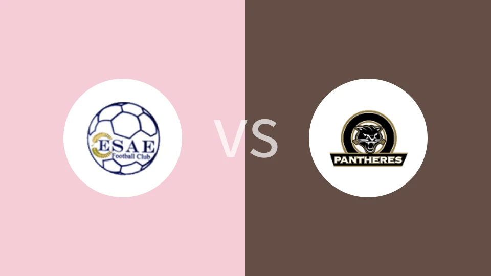 罗托FCvs潘瑟雷斯比分预测分析 2025/05/11