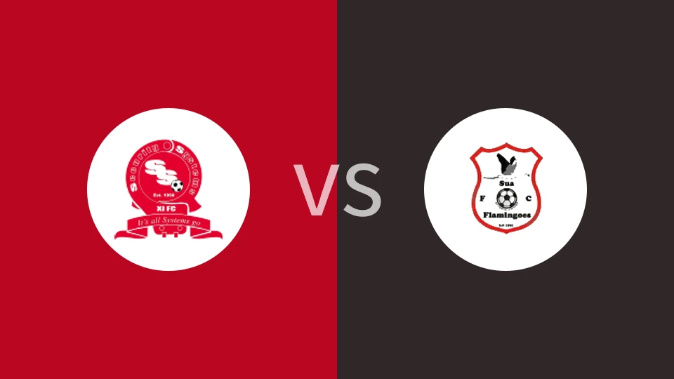 安全系统FCvs苏阿火烈鸟比分预测分析 2025/05/04