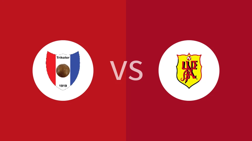 容霍兰德vsSV乌德巴比分预测分析 2025/11/03