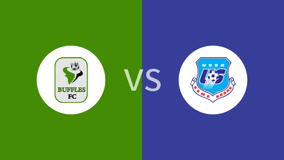 【贝宁甲】博尔古水牛vs索贝马