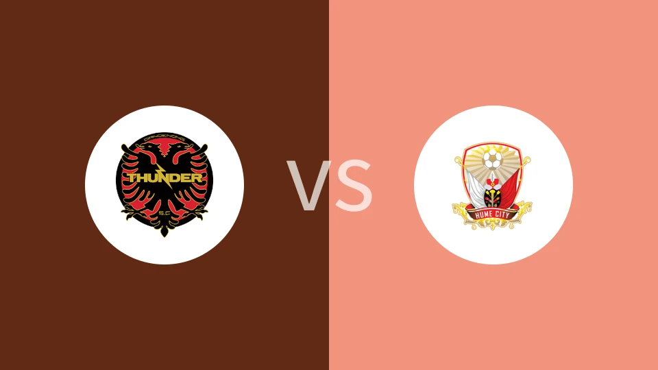 丹德农迅雷vs休城比分预测分析 2025/05/24