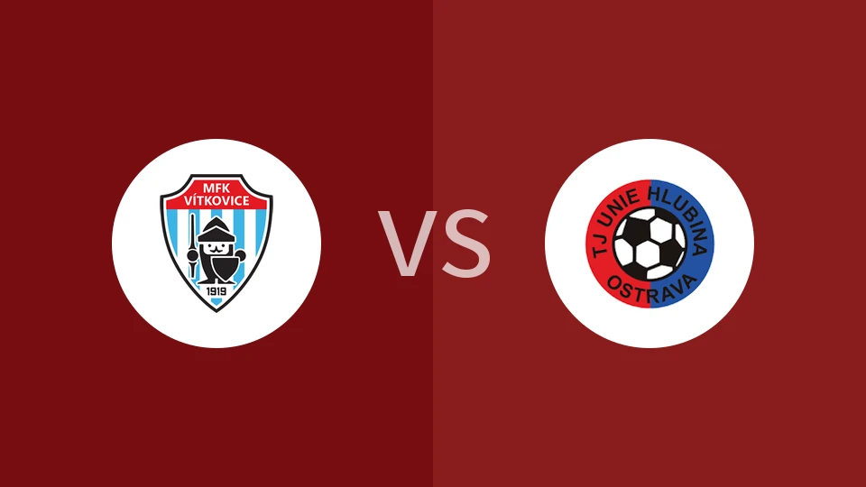 维特科维斯vs荷路比纳比分预测分析 2025/11/15