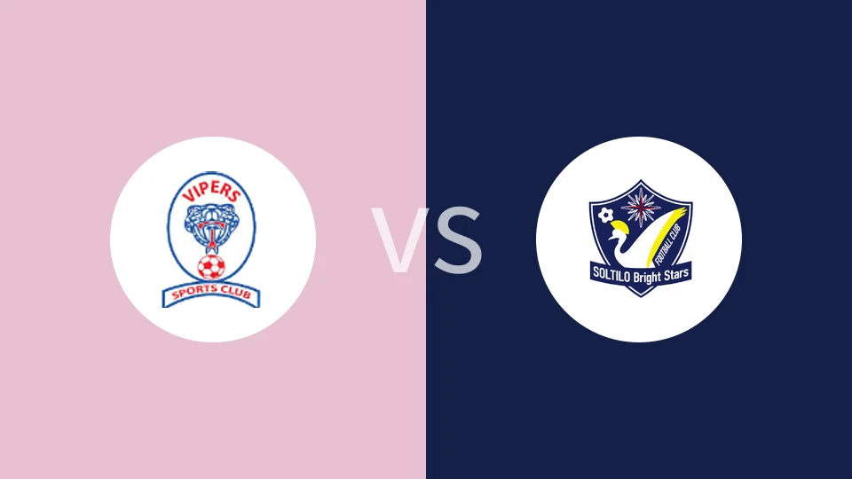 毒蛇vs光明之星比分预测分析 2025/05/24
