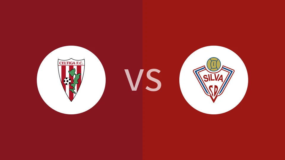 奇迪戈vs斯尔华比分预测分析 2025/11/03