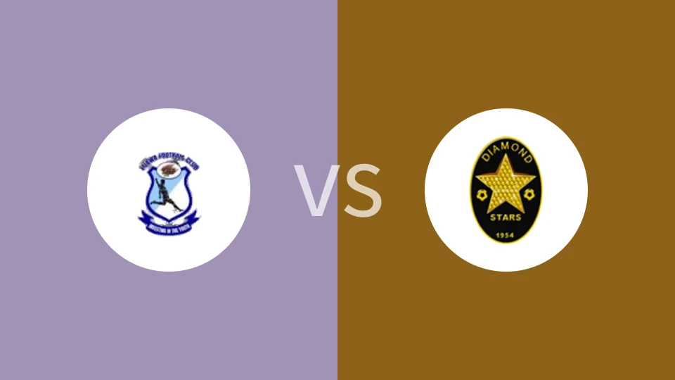 卢瓦FCvs钻石星尘比分预测分析 2025/05/19