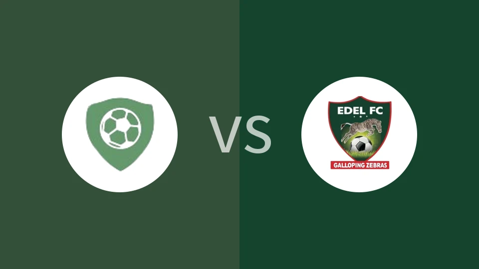 【尼日国联】阿比阿彗星vs埃德尔足球俱乐部