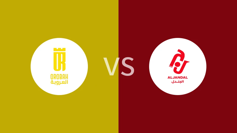 塞卡凯阿拉伯vs积尼达比分预测分析 2026/01/01