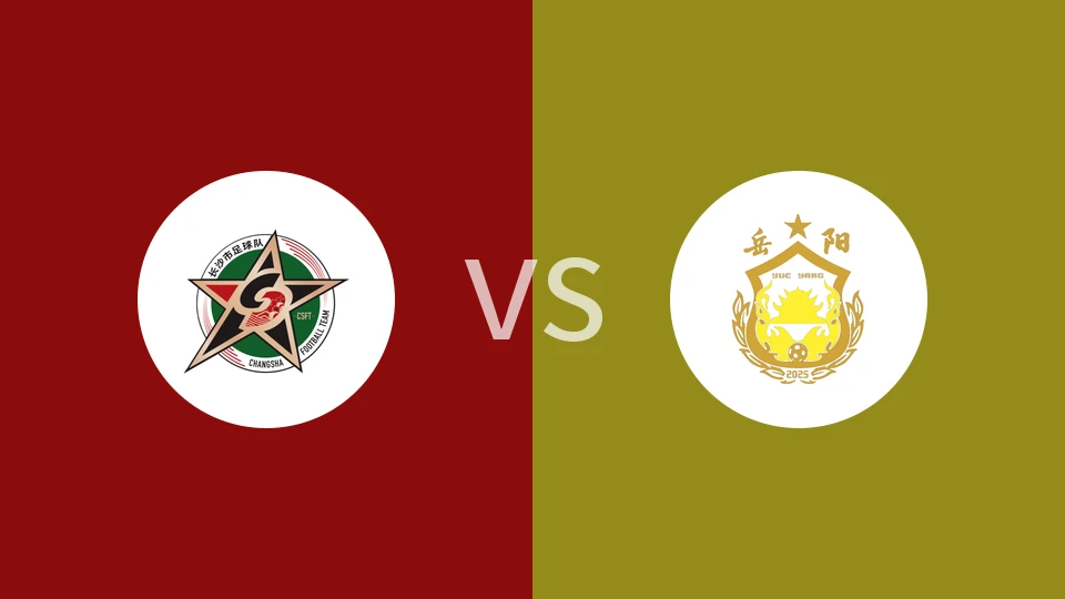 长沙队vs岳阳队回放录像 2025/11/08