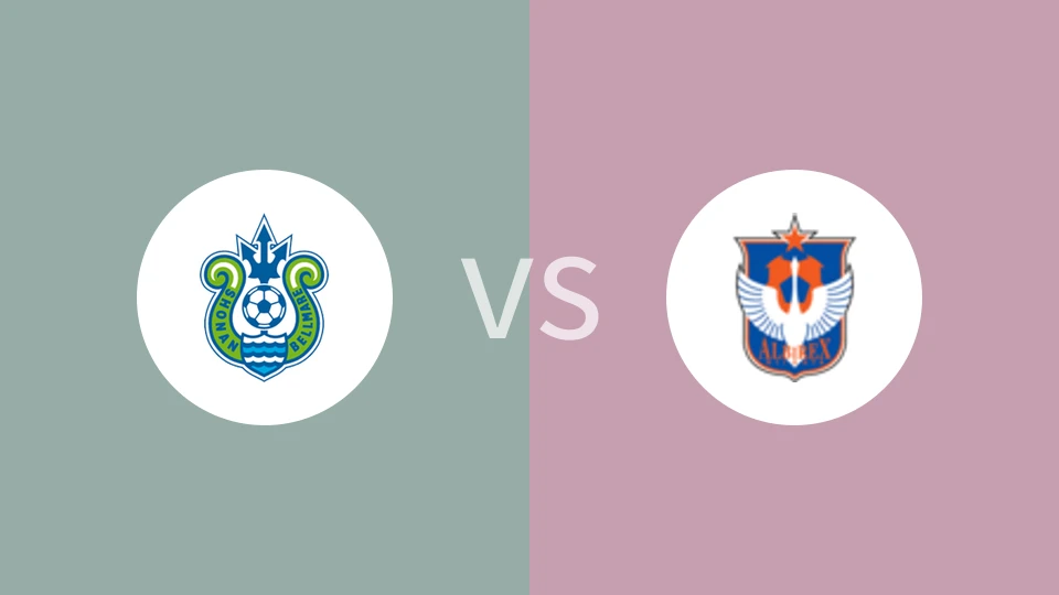 湘南丽海VS新潟天鹅比分预测 2024/05/19