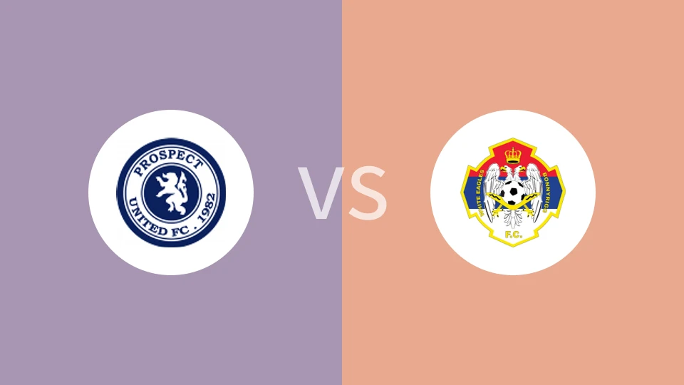 【澳威甲】普罗斯佩联vs保尼白鹰