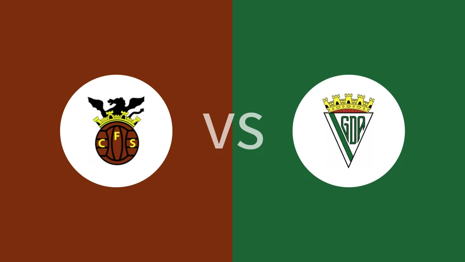 塞尔帕vs阿尔科切坦斯比分预测分析 2026/01/10