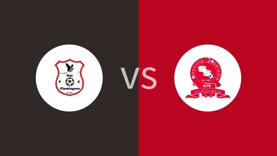 苏阿火烈鸟vs安全系统FC比分预测分析 2024/10/26